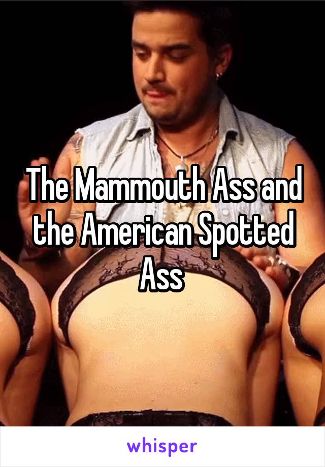 The Mammouth Ass and the American Spotted Ass 