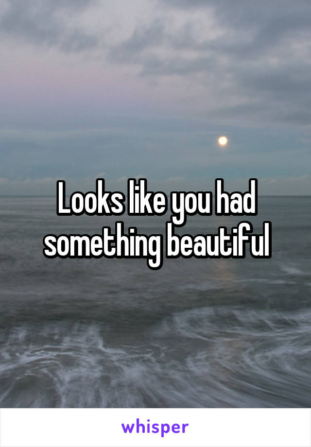 Looks like you had something beautiful