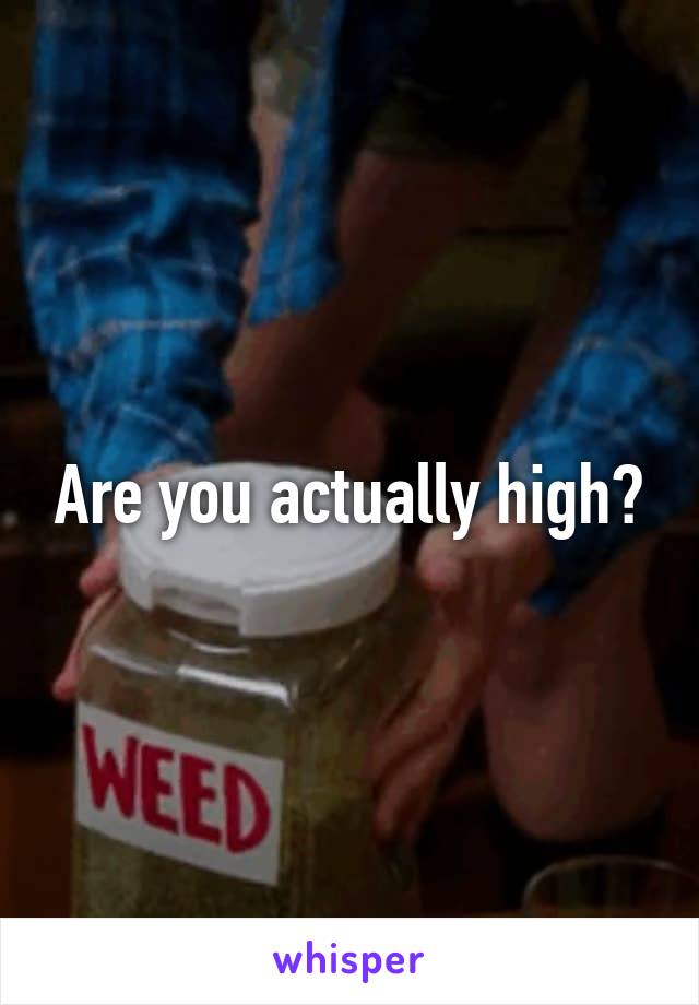 Are you actually high?