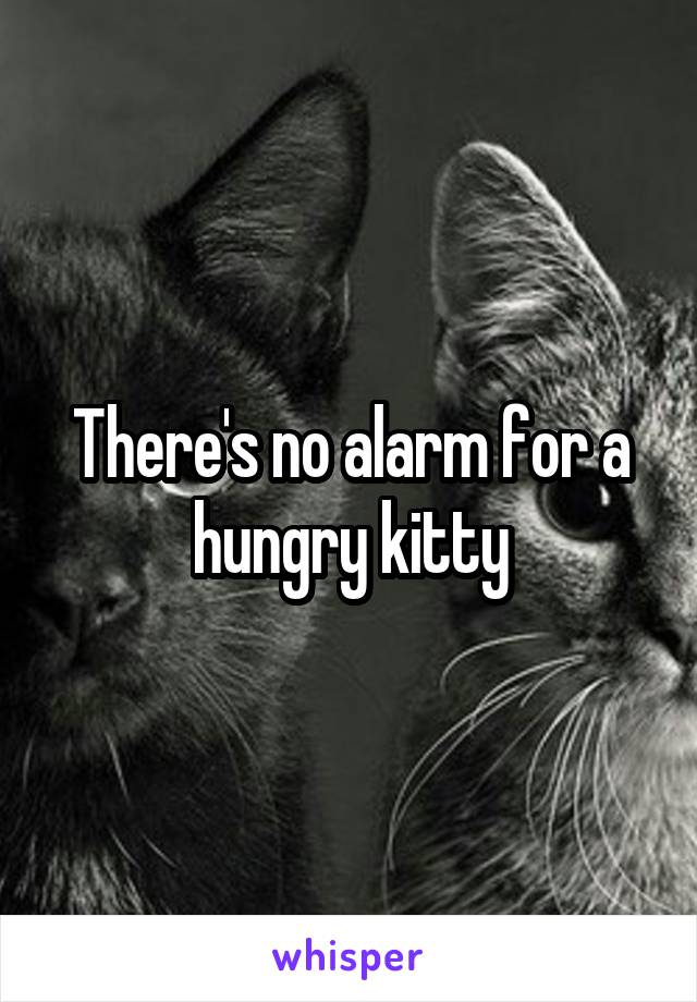 There's no alarm for a hungry kitty