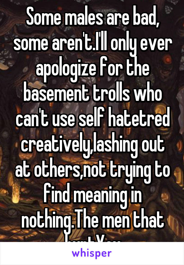 Some males are bad, some aren't.I'll only ever apologize for the basement trolls who can't use self hatetred creatively,lashing out at others,not trying to find meaning in nothing.The men that hurtYou