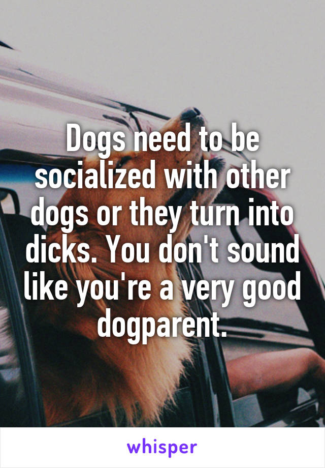 Dogs need to be socialized with other dogs or they turn into dicks. You don't sound like you're a very good dogparent.