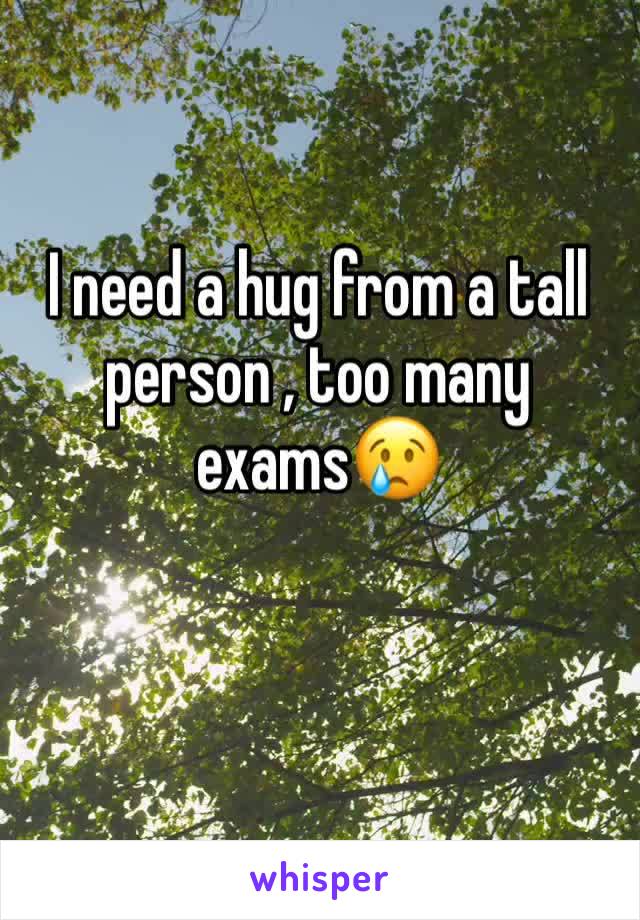 I need a hug from a tall person , too many exams😢