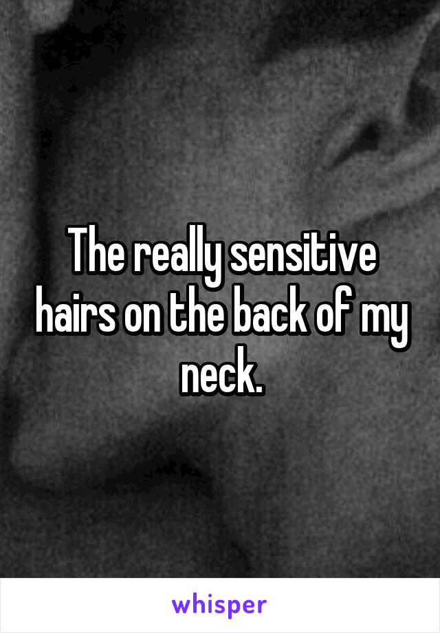 The really sensitive hairs on the back of my neck.