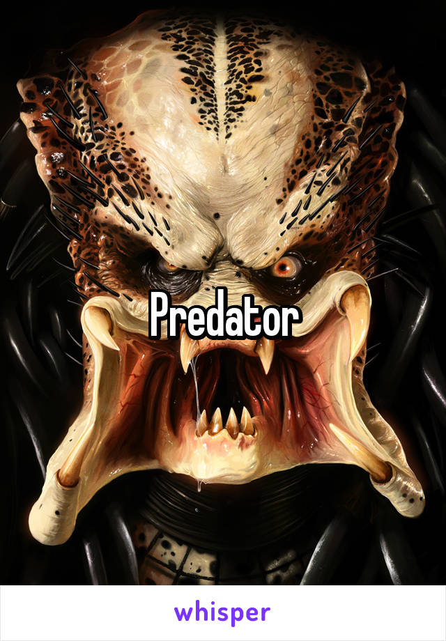 Predator