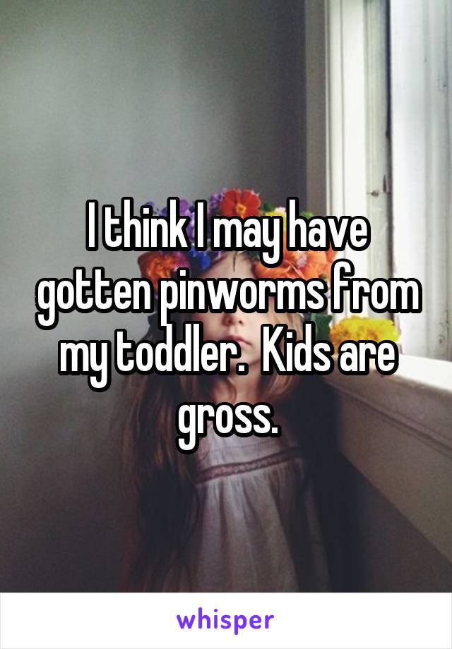 I think I may have gotten pinworms from my toddler.  Kids are gross.