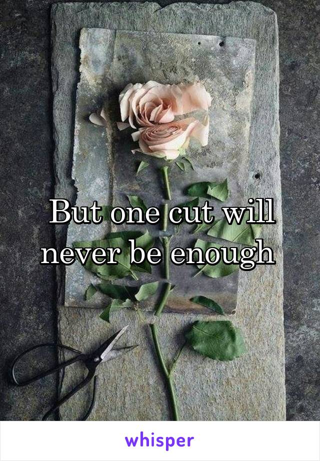 But one cut will never be enough 