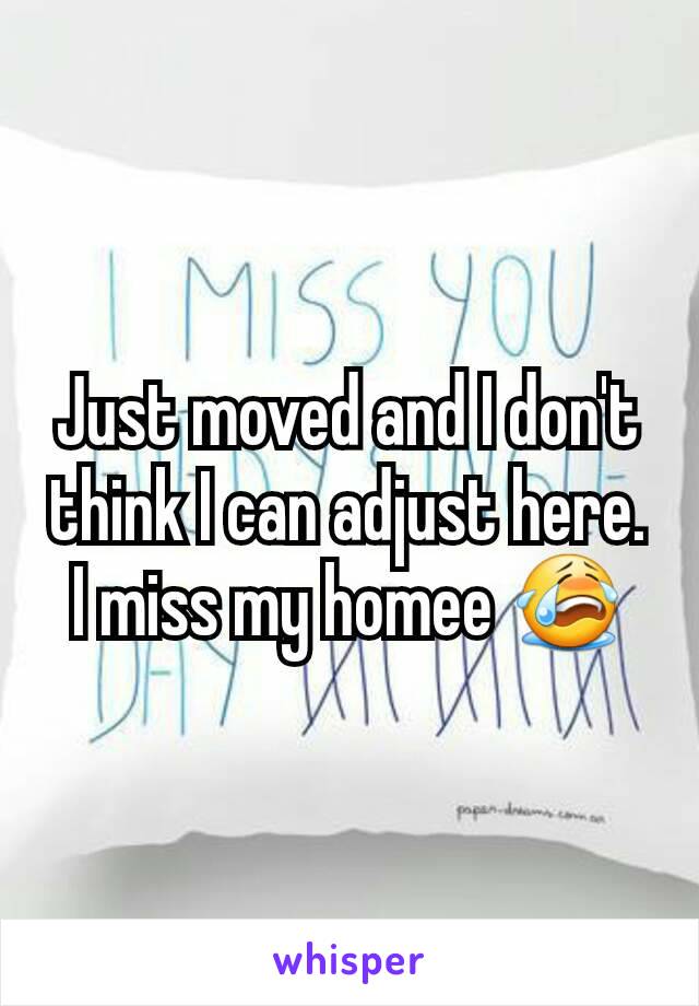 Just moved and I don't think I can adjust here. I miss my homee 😭