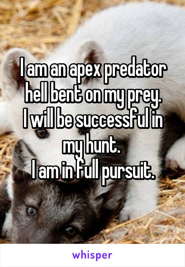 I am an apex predator hell bent on my prey.
I will be successful in my hunt. 
I am in full pursuit.
