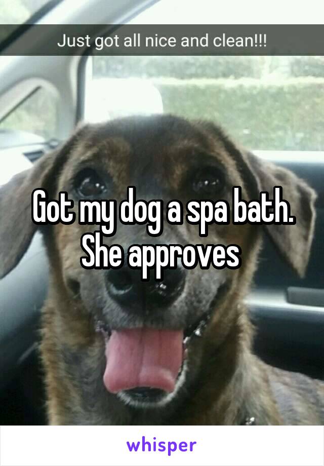 Got my dog a spa bath. She approves 