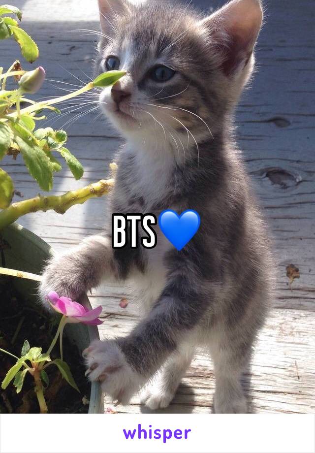 BTS💙