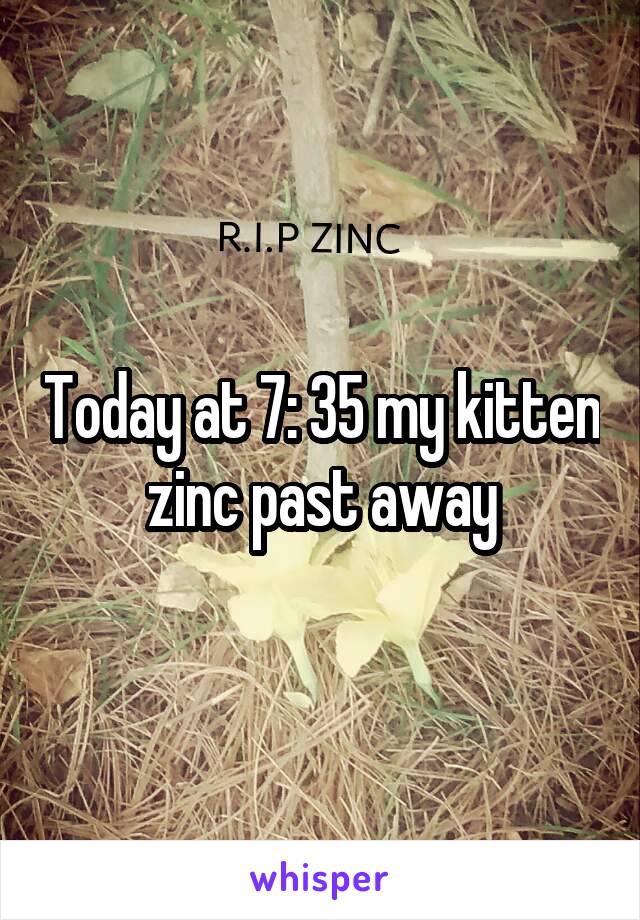 Today at 7: 35 my kitten zinc past away