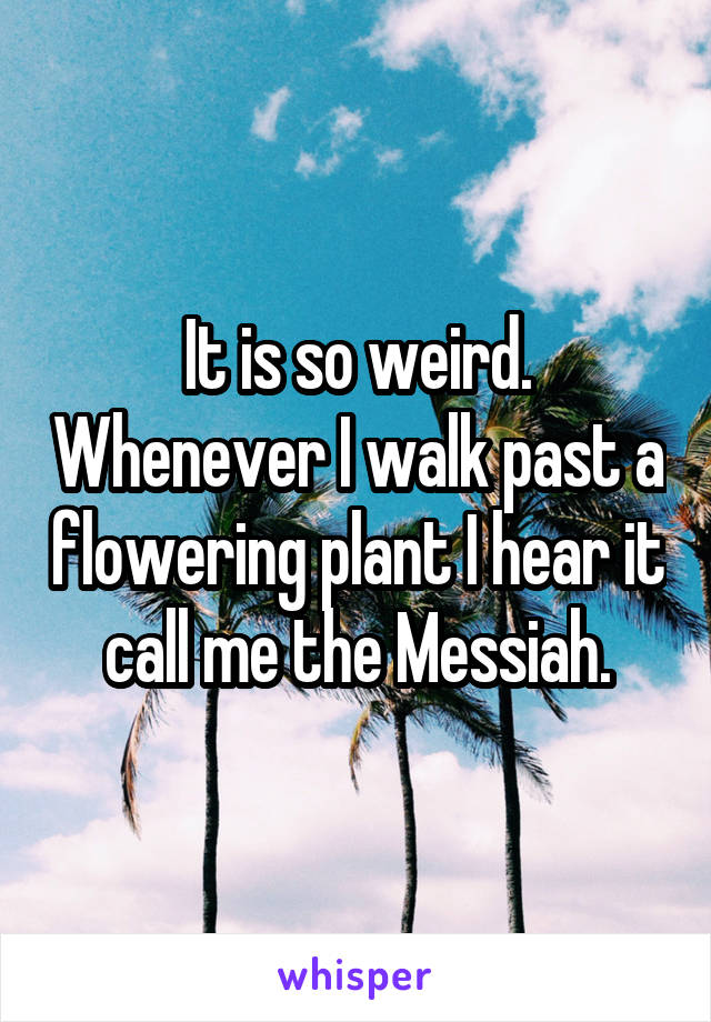 It is so weird. Whenever I walk past a flowering plant I hear it call me the Messiah.