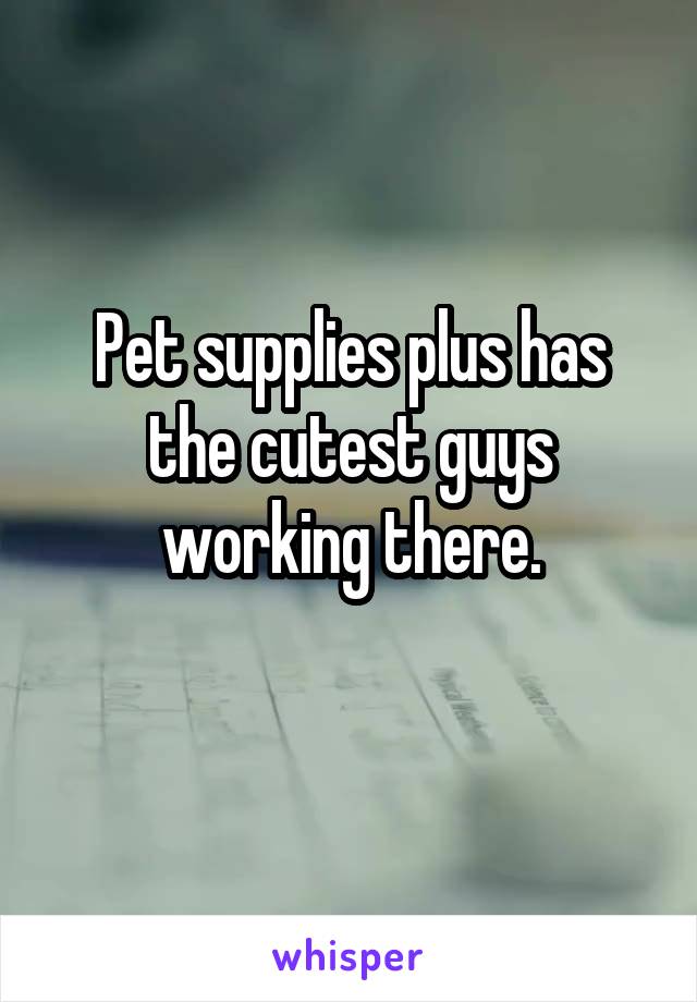 Pet supplies plus has the cutest guys working there.
