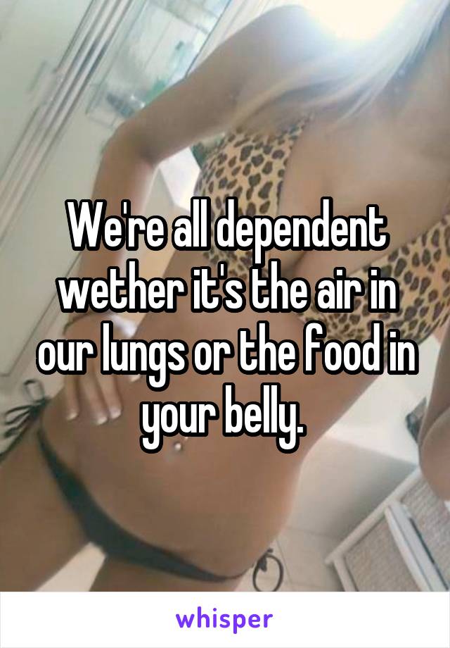 We're all dependent wether it's the air in our lungs or the food in your belly. 