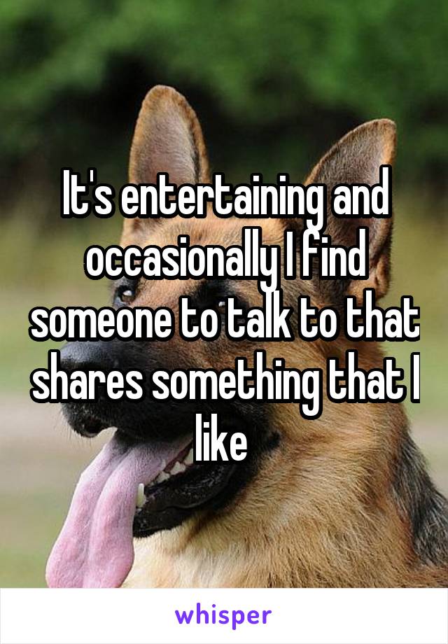 It's entertaining and occasionally I find someone to talk to that shares something that I like 