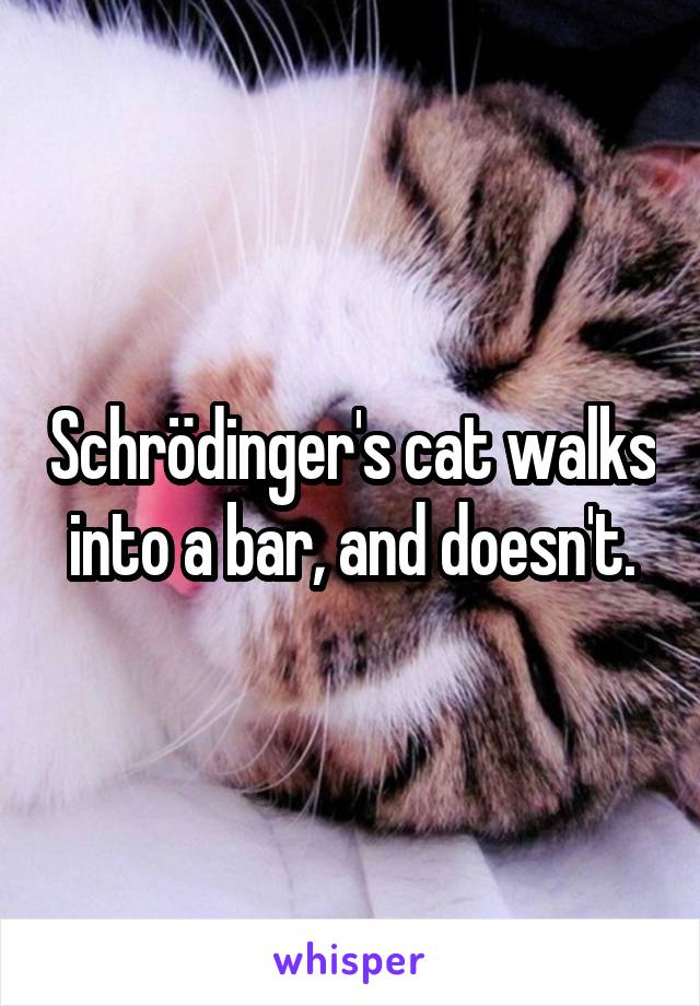 Schrödinger's cat walks into a bar, and doesn't.