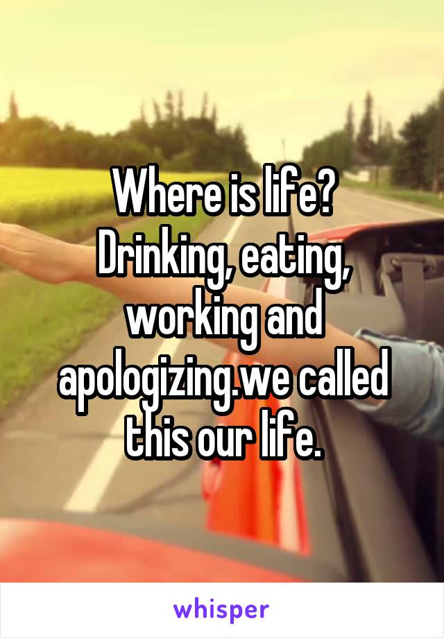 Where is life?
Drinking, eating, working and apologizing.we called this our life.