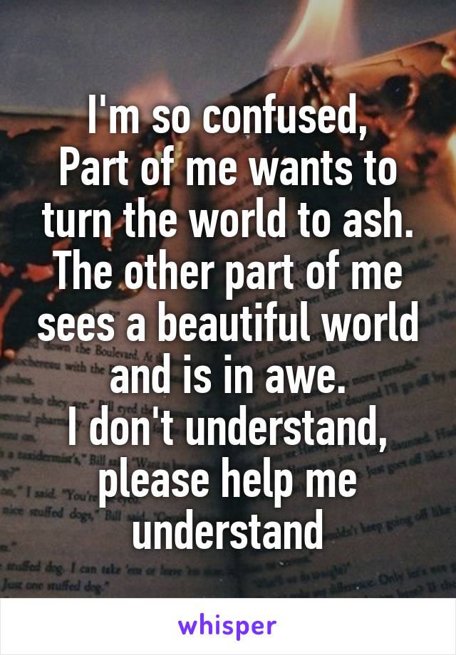 I'm so confused,
Part of me wants to turn the world to ash.
The other part of me sees a beautiful world and is in awe.
I don't understand, please help me understand