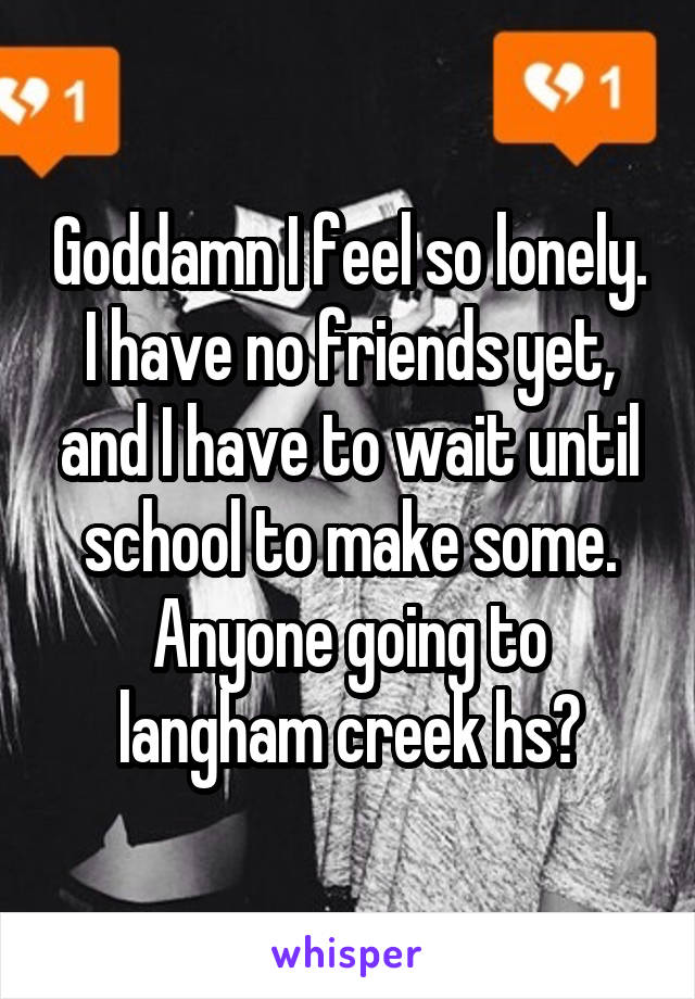 Goddamn I feel so lonely. I have no friends yet, and I have to wait until school to make some. Anyone going to langham creek hs?