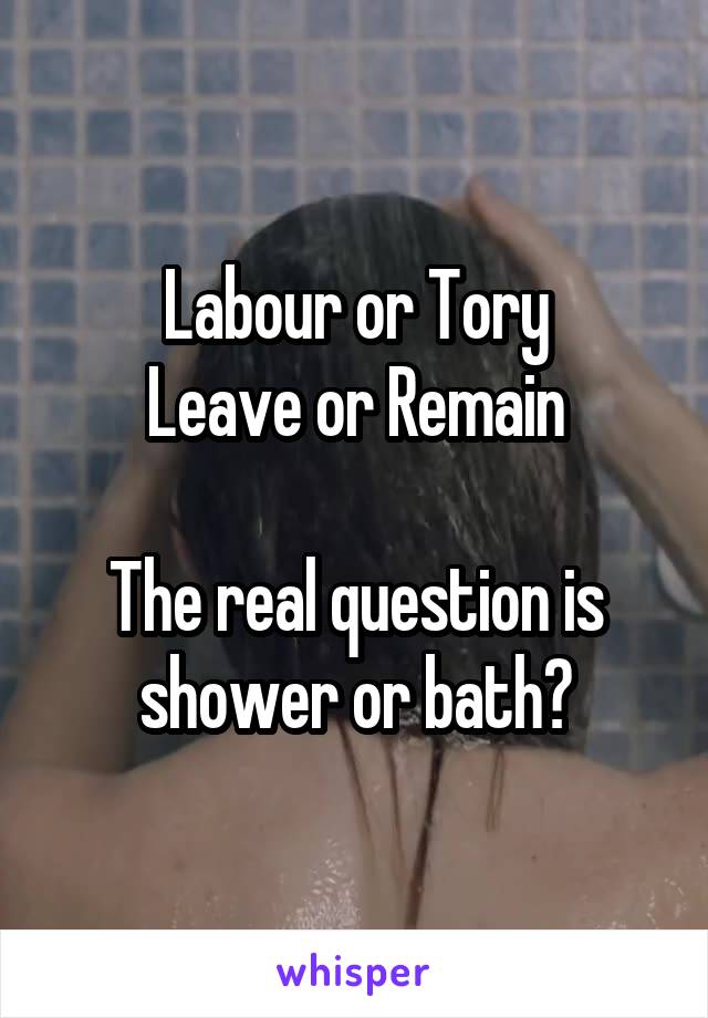 Labour or Tory
Leave or Remain

The real question is shower or bath?