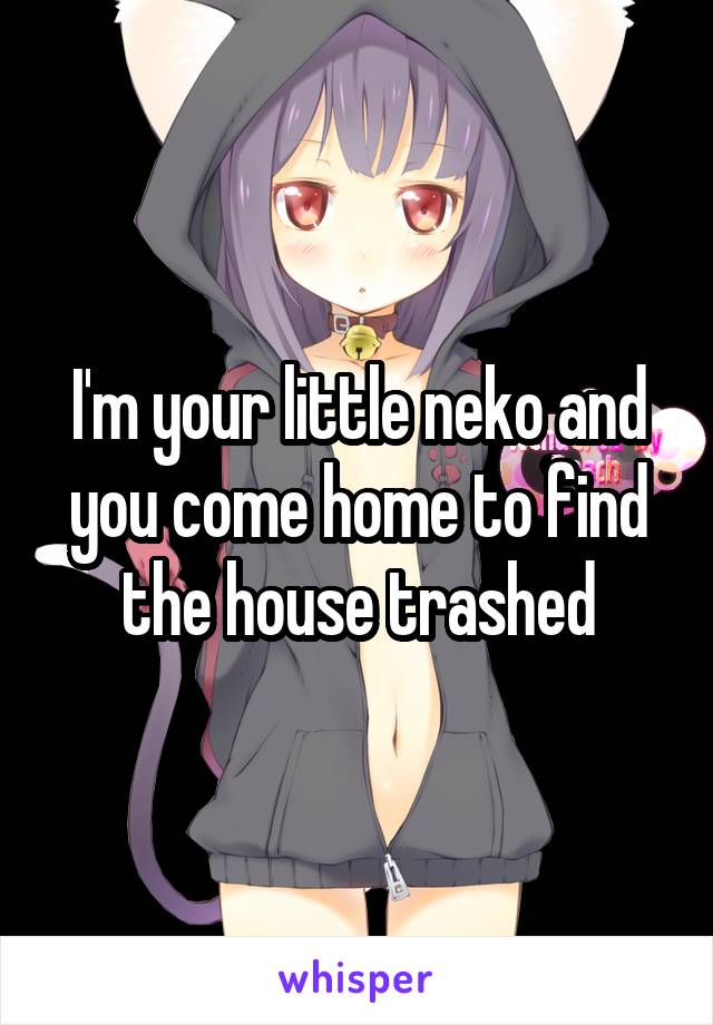 I'm your little neko and you come home to find the house trashed