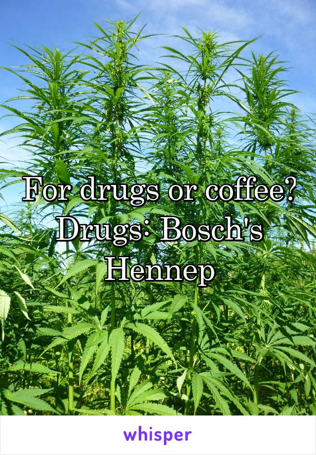 For drugs or coffee?
Drugs: Bosch's Hennep