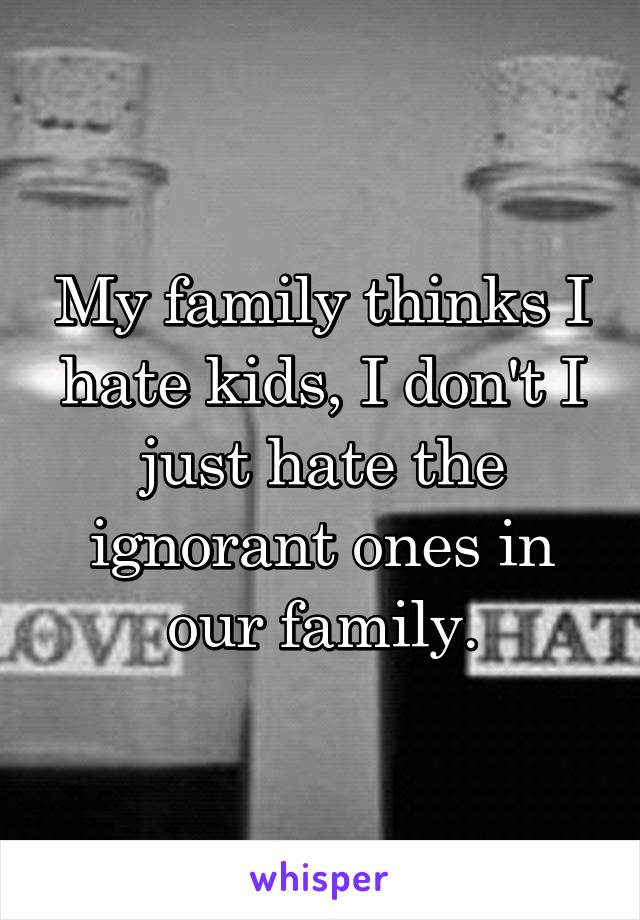 My family thinks I hate kids, I don't I just hate the ignorant ones in our family.