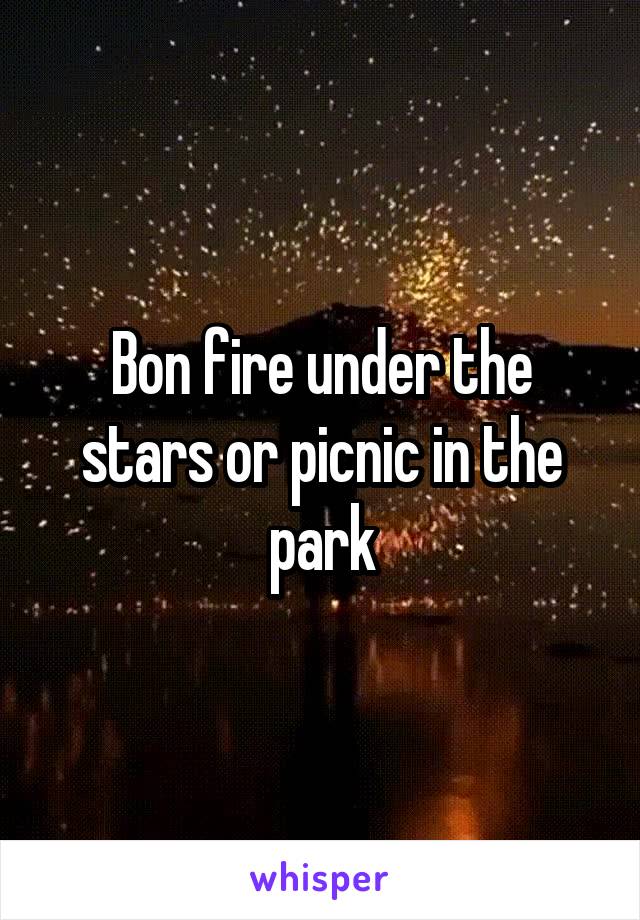 Bon fire under the stars or picnic in the park