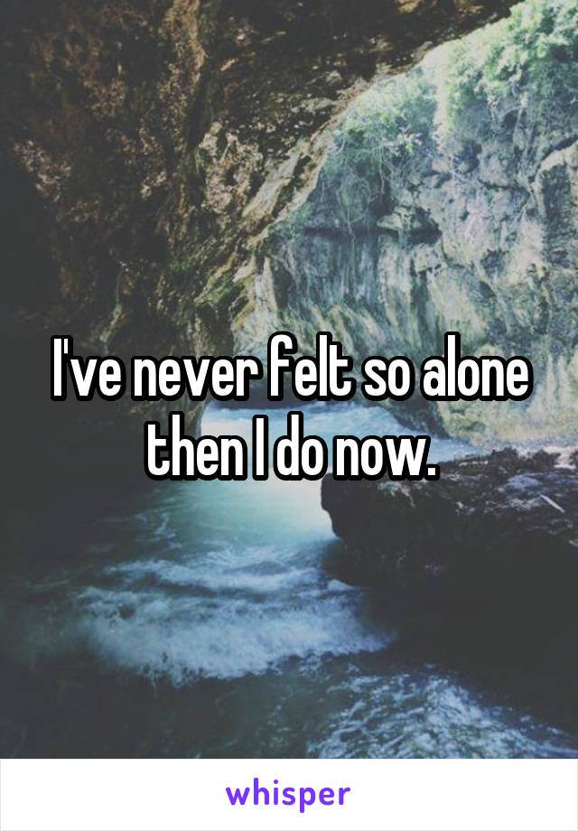 I've never felt so alone then I do now.