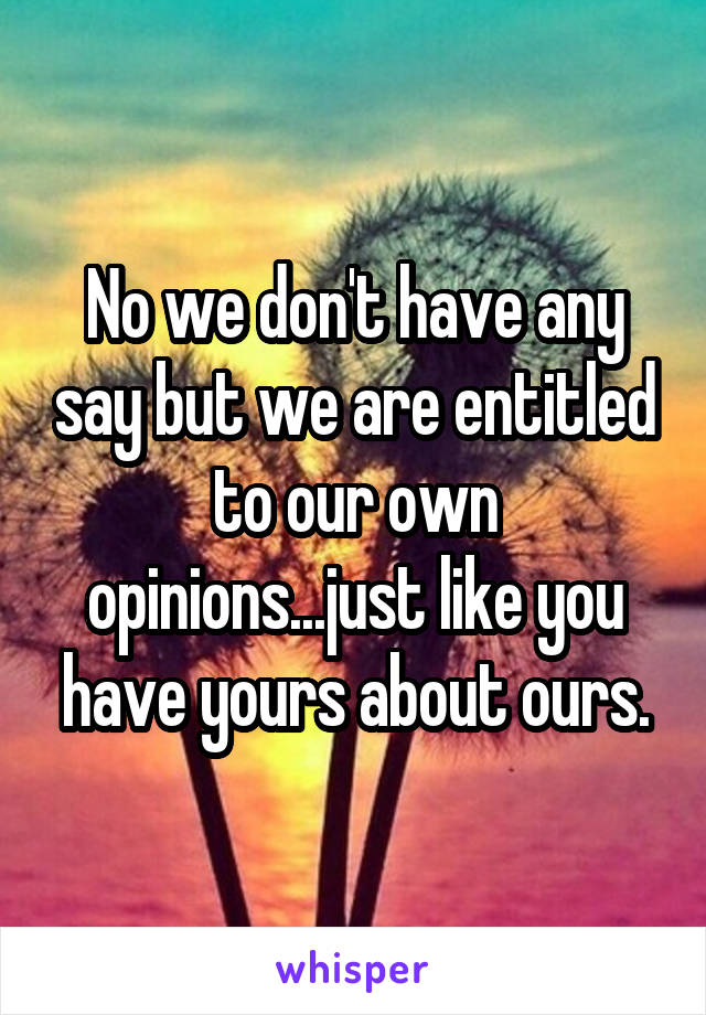 No we don't have any say but we are entitled to our own opinions...just like you have yours about ours.