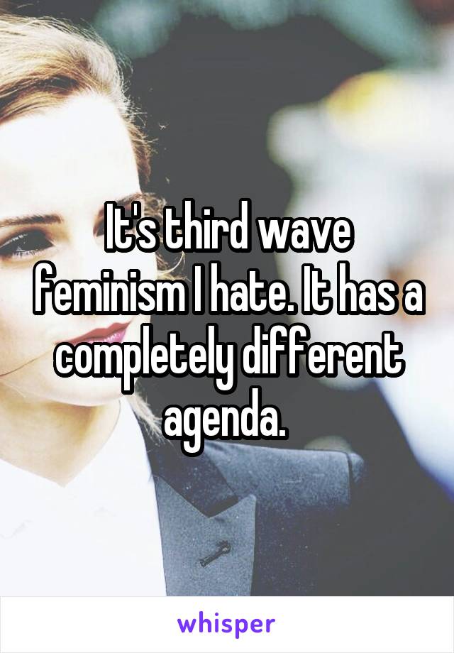 It's third wave feminism I hate. It has a completely different agenda. 