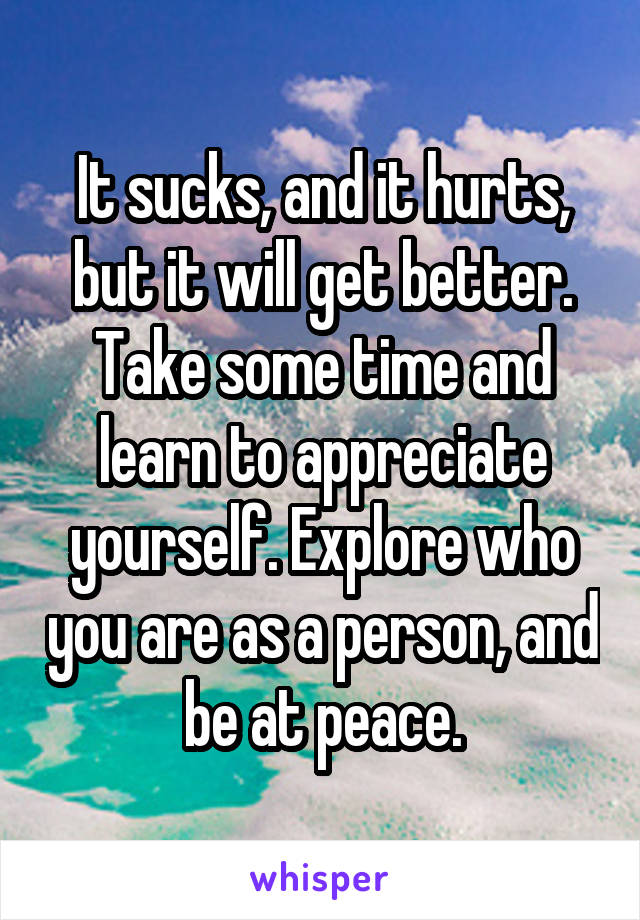 It sucks, and it hurts, but it will get better. Take some time and learn to appreciate yourself. Explore who you are as a person, and be at peace.