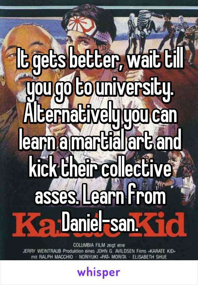 It gets better, wait till you go to university. Alternatively you can learn a martial art and kick their collective asses. Learn from Daniel-san.