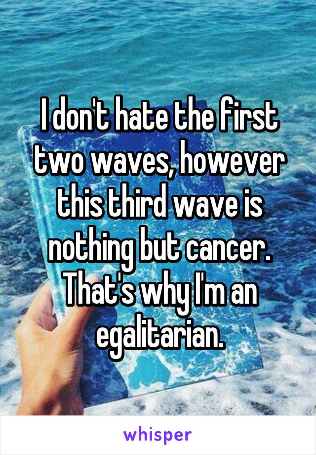 I don't hate the first two waves, however this third wave is nothing but cancer. That's why I'm an egalitarian.