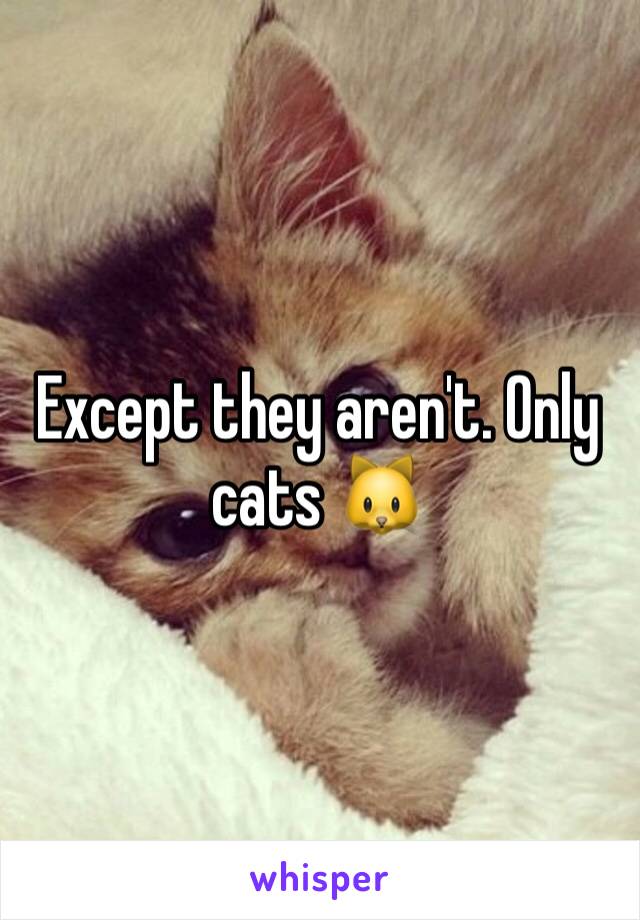 Except they aren't. Only cats 🐱 