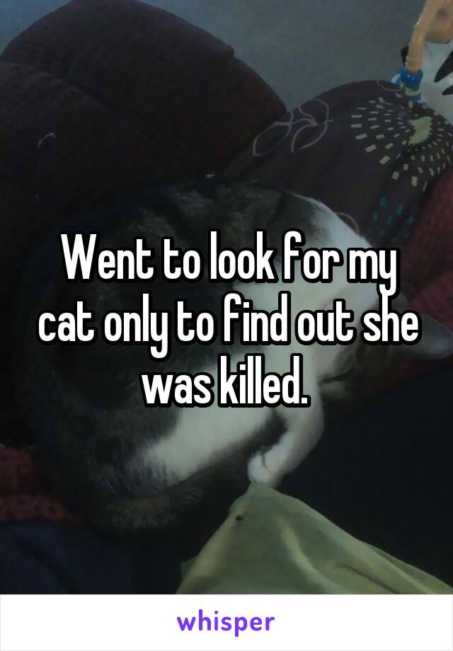 Went to look for my cat only to find out she was killed. 