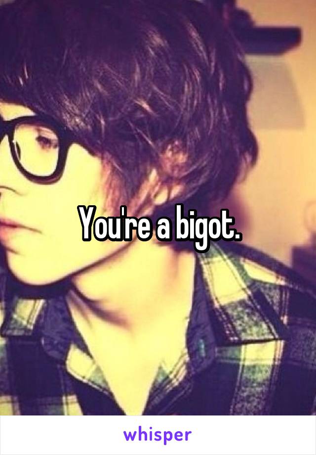 You're a bigot.