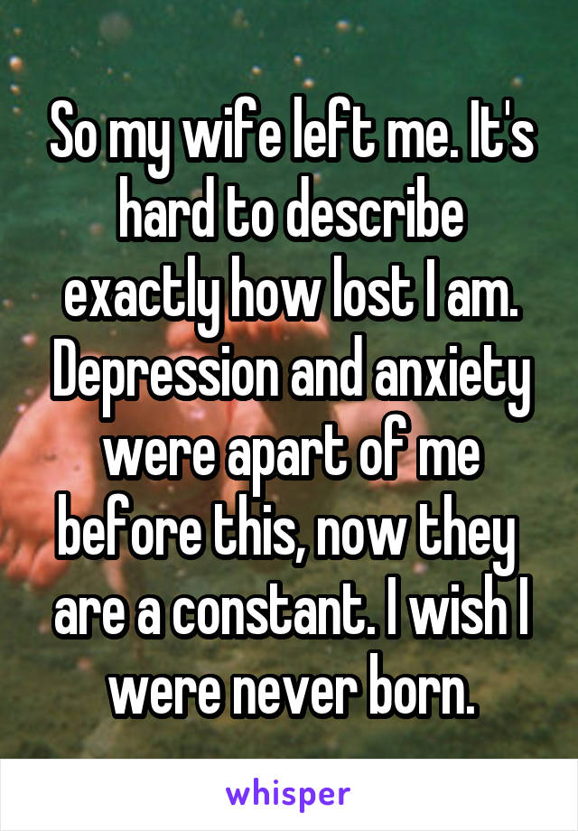 So my wife left me. It's hard to describe exactly how lost I am. Depression and anxiety were apart of me before this, now they  are a constant. I wish I were never born.