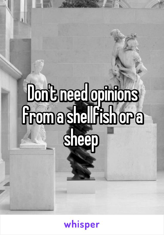 Don't need opinions from a shellfish or a sheep 