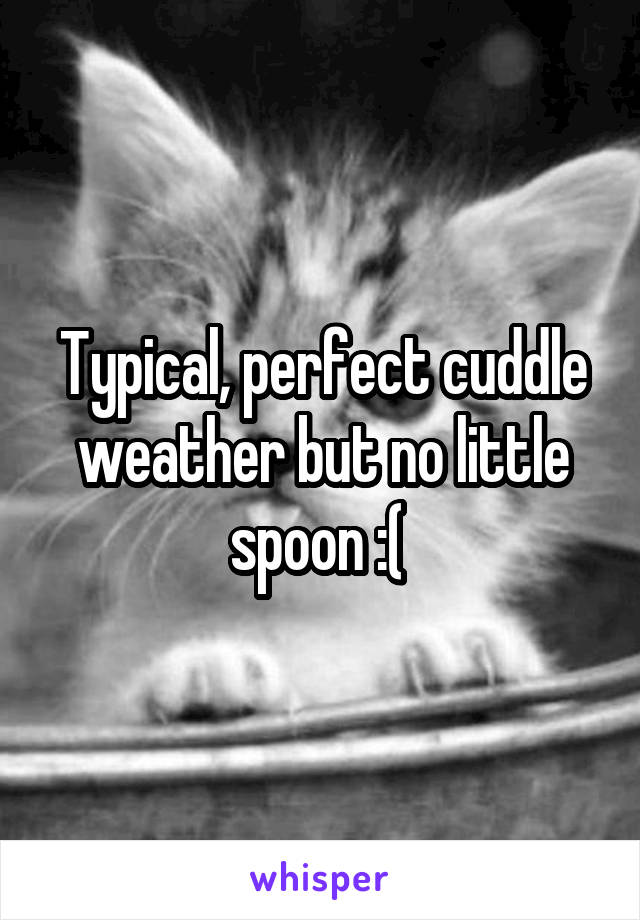 Typical, perfect cuddle weather but no little spoon :( 