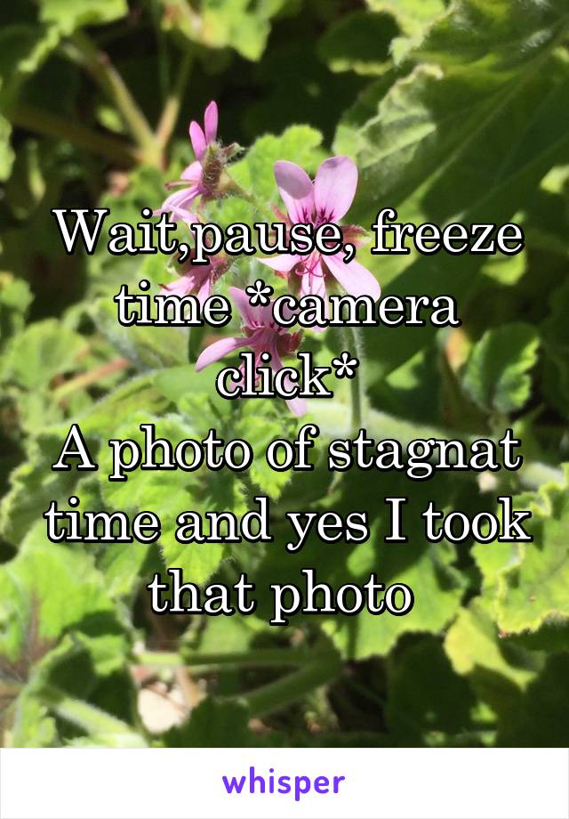 Wait,pause, freeze time *camera click*
A photo of stagnat time and yes I took that photo 