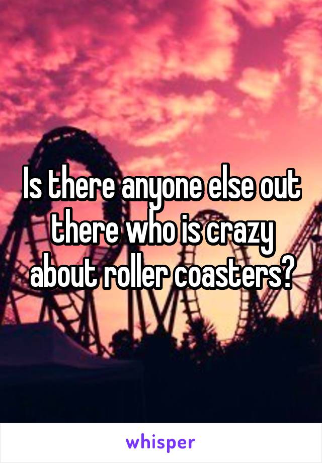 Is there anyone else out there who is crazy about roller coasters?