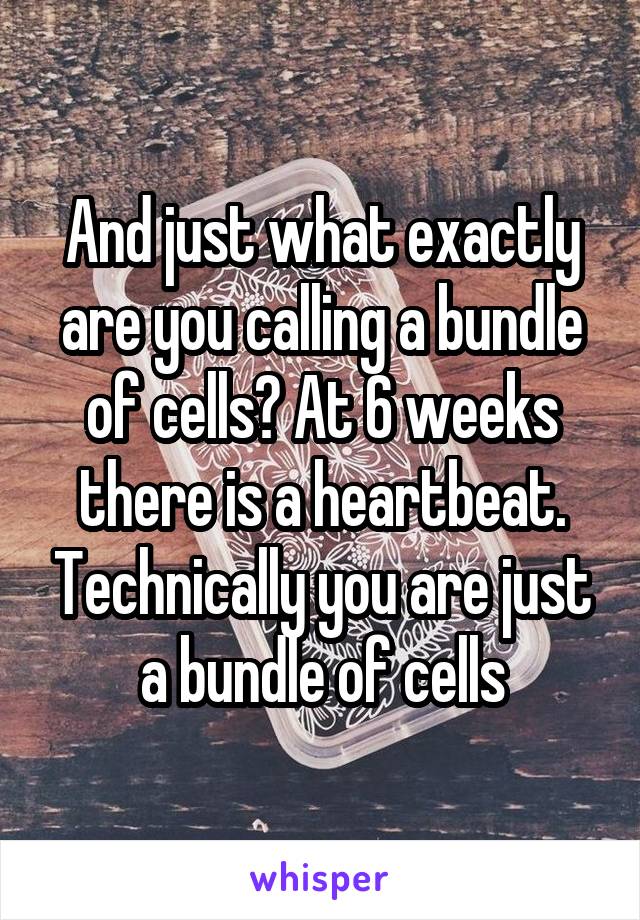 And just what exactly are you calling a bundle of cells? At 6 weeks there is a heartbeat. Technically you are just a bundle of cells