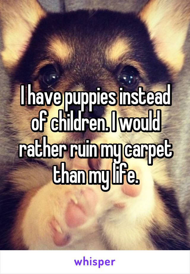 I have puppies instead of children. I would rather ruin my carpet than my life.