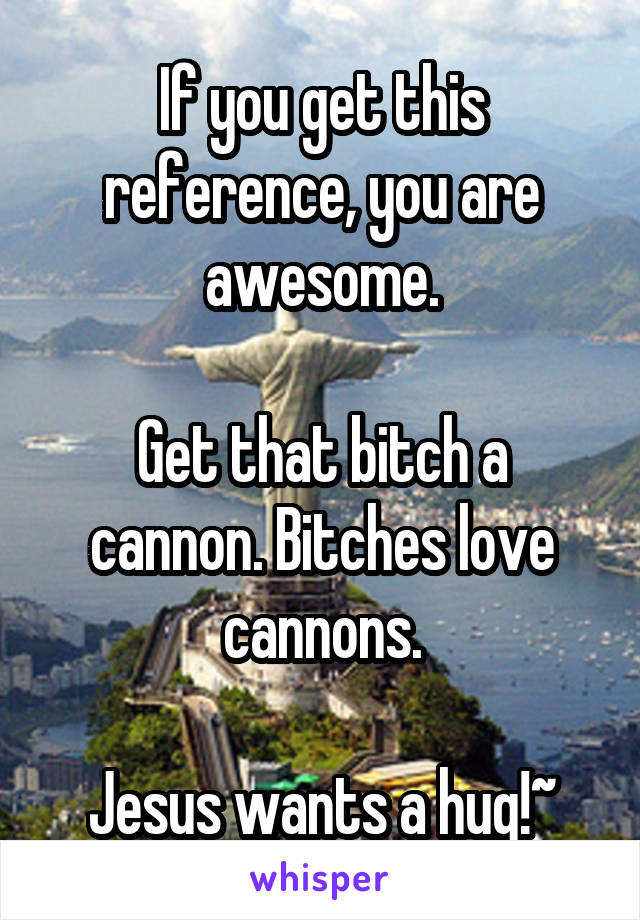 If you get this reference, you are awesome.

Get that bitch a cannon. Bitches love cannons.

Jesus wants a hug!~