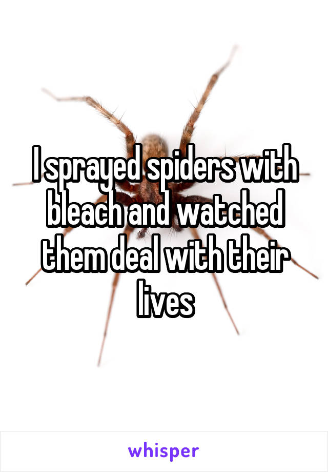 I sprayed spiders with bleach and watched them deal with their lives