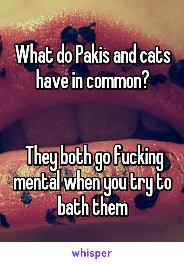 What do Pakis and cats have in common?


 They both go fucking mental when you try to bath them