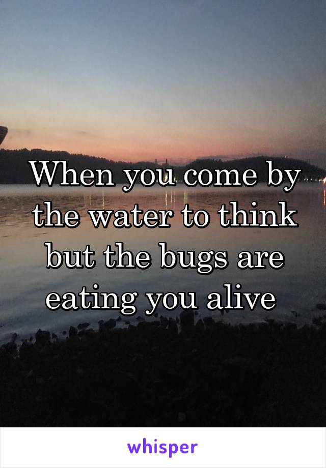  When you come by the water to think but the bugs are eating you alive 