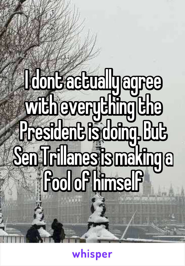 I dont actually agree with everything the President is doing. But Sen Trillanes is making a fool of himself